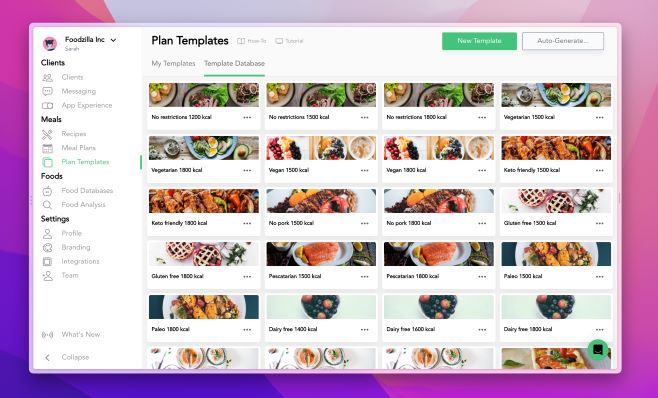 foodzilla templates for meal plans database